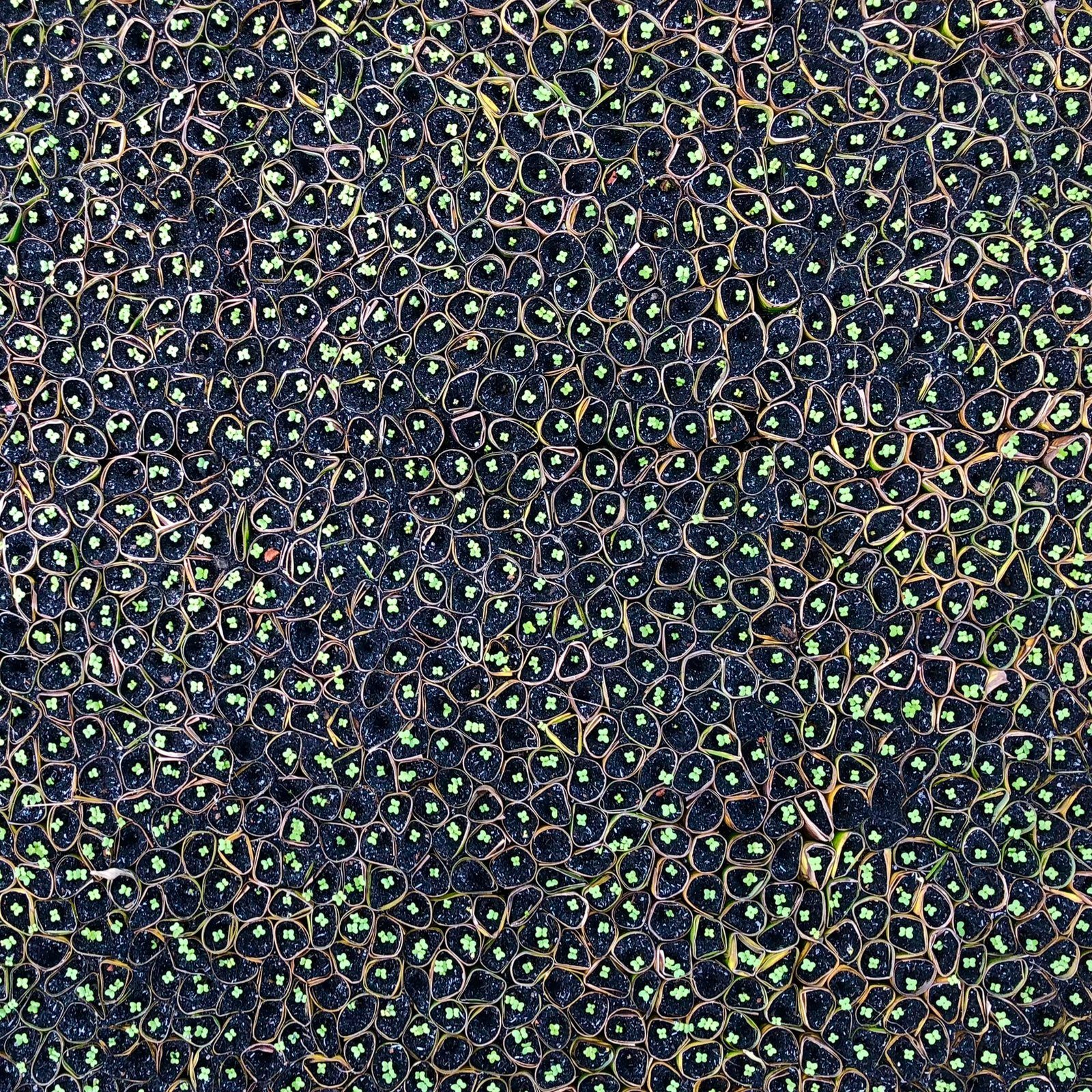 Patterns of Mekong Delta, a Chromaluxe aluminum print from Mekong Delta
